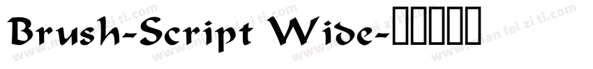Brush-Script Wide字体转换